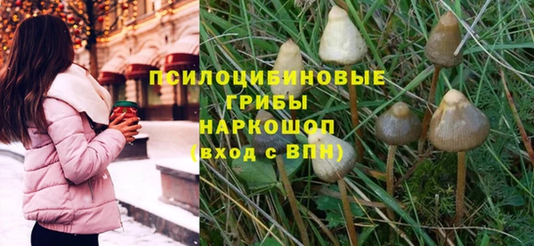 mdpv Ельня