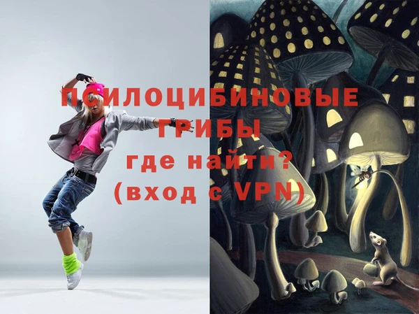 бошки Зеленодольск
