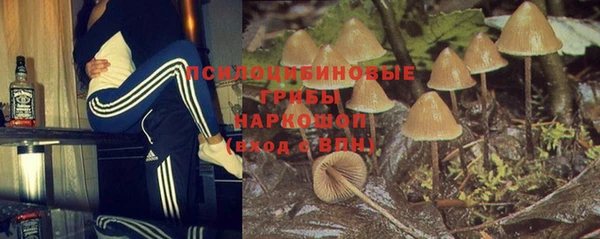 герыч Зеленокумск
