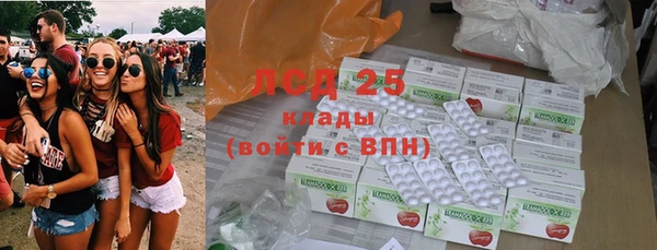 дживик Зерноград